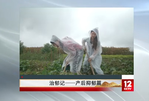 治郁记-产后抑郁篇